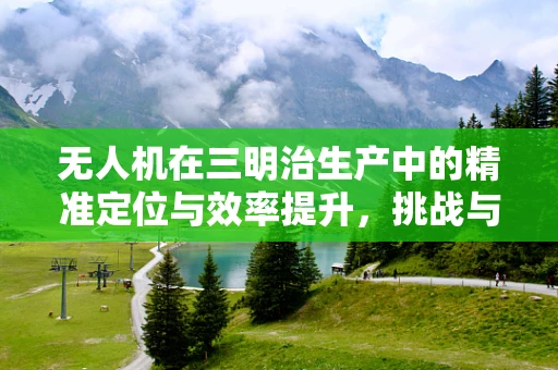 无人机在三明治生产中的精准定位与效率提升，挑战与解决方案？
