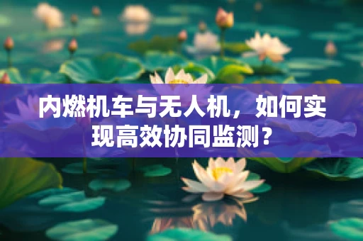 内燃机车与无人机，如何实现高效协同监测？
