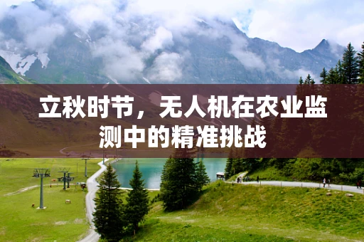 立秋时节，无人机在农业监测中的精准挑战