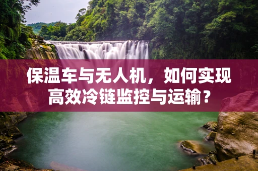 保温车与无人机，如何实现高效冷链监控与运输？