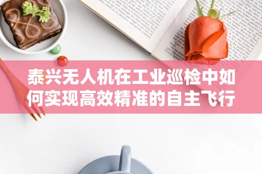 泰兴无人机在工业巡检中如何实现高效精准的自主飞行？