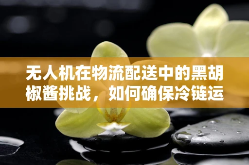 无人机在物流配送中的黑胡椒酱挑战，如何确保冷链运输的保鲜？