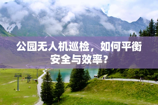 公园无人机巡检，如何平衡安全与效率？