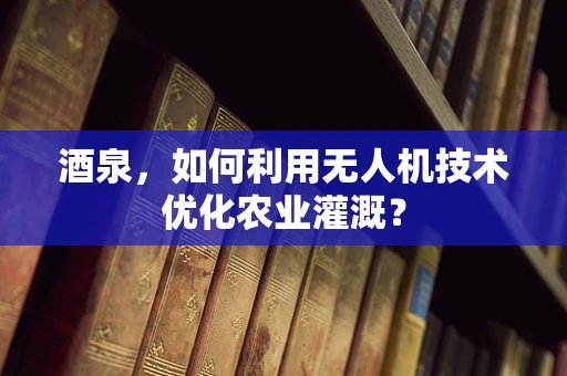 酒泉，如何利用无人机技术优化农业灌溉？