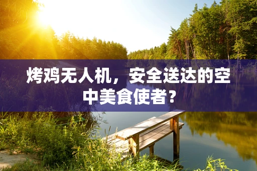 烤鸡无人机，安全送达的空中美食使者？