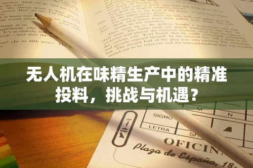 无人机在味精生产中的精准投料，挑战与机遇？