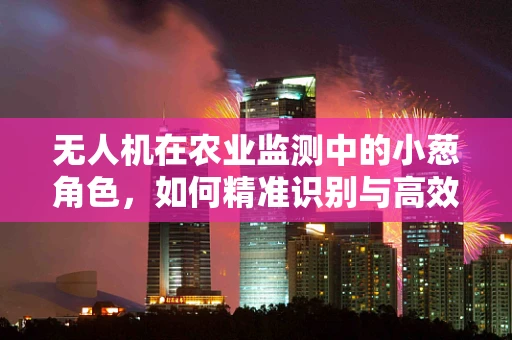 无人机在农业监测中的小葱角色，如何精准识别与高效管理？