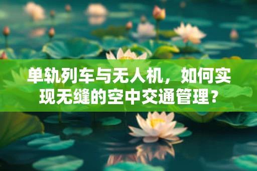 单轨列车与无人机，如何实现无缝的空中交通管理？