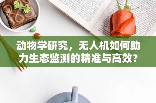 动物学研究，无人机如何助力生态监测的精准与高效？