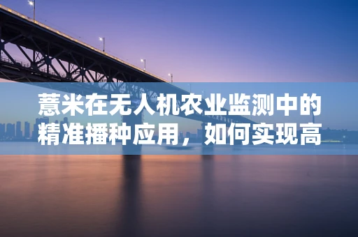 薏米在无人机农业监测中的精准播种应用，如何实现高效与精准的平衡？