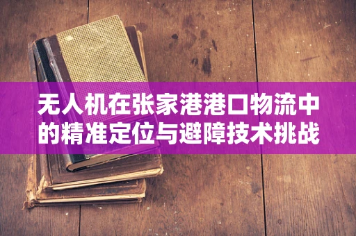 无人机在张家港港口物流中的精准定位与避障技术挑战