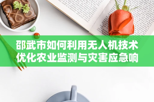 邵武市如何利用无人机技术优化农业监测与灾害应急响应？