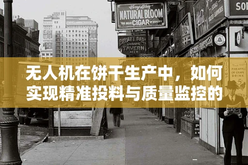 无人机在饼干生产中，如何实现精准投料与质量监控的完美结合？