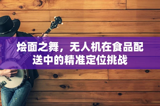 烩面之舞，无人机在食品配送中的精准定位挑战