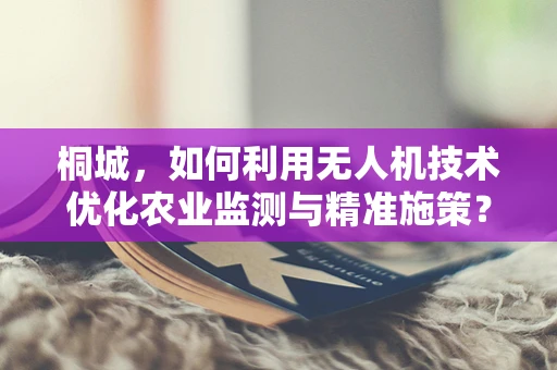 桐城，如何利用无人机技术优化农业监测与精准施策？