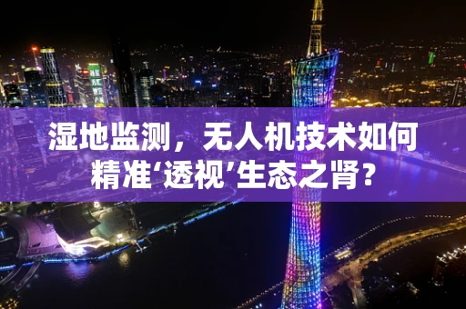 湿地监测，无人机技术如何精准‘透视’生态之肾？