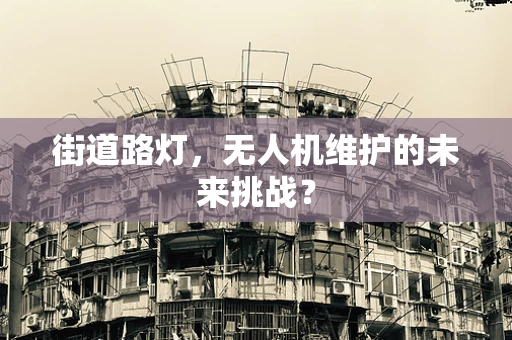 街道路灯，无人机维护的未来挑战？