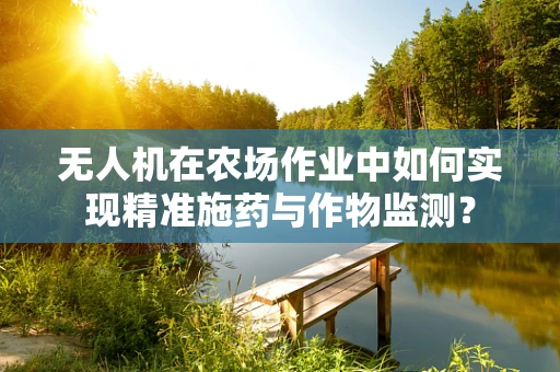 无人机在农场作业中如何实现精准施药与作物监测？