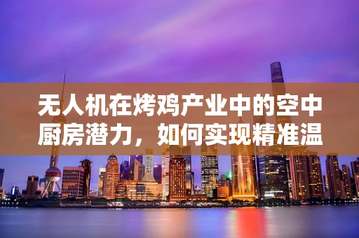无人机在烤鸡产业中的空中厨房潜力，如何实现精准温控与高效配送？