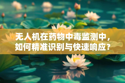 无人机在药物中毒监测中，如何精准识别与快速响应？