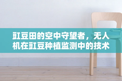 豇豆田的空中守望者，无人机在豇豆种植监测中的技术挑战是什么？