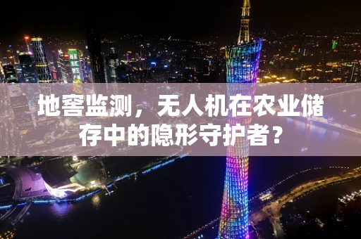 地窖监测，无人机在农业储存中的隐形守护者？