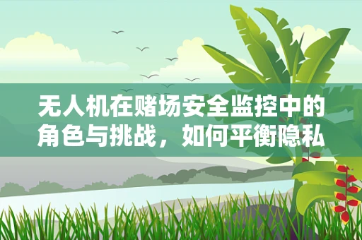 无人机在赌场安全监控中的角色与挑战，如何平衡隐私与安全？