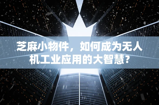 芝麻小物件，如何成为无人机工业应用的大智慧？