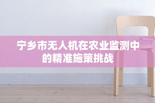 宁乡市无人机在农业监测中的精准施策挑战