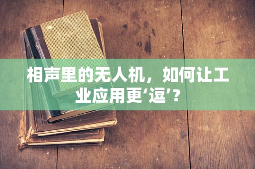 相声里的无人机，如何让工业应用更‘逗’？