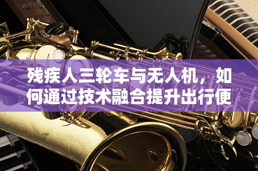 残疾人三轮车与无人机，如何通过技术融合提升出行便利性？