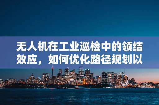 无人机在工业巡检中的领结效应，如何优化路径规划以提升效率？