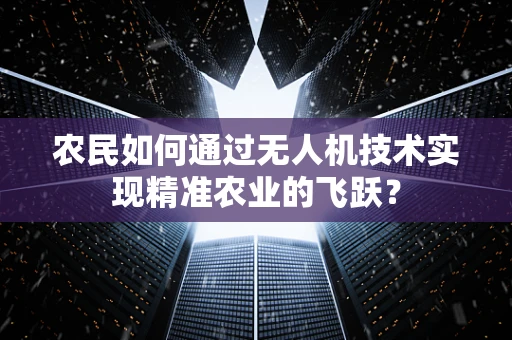 农民如何通过无人机技术实现精准农业的飞跃？