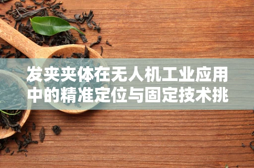 发夹夹体在无人机工业应用中的精准定位与固定技术挑战