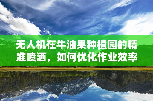 无人机在牛油果种植园的精准喷洒，如何优化作业效率？