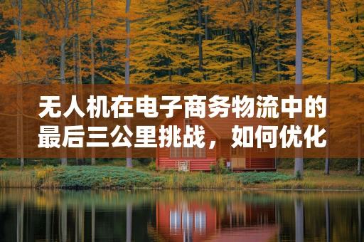 无人机在电子商务物流中的最后三公里挑战，如何优化配送效率？