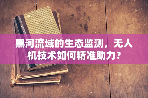 黑河流域的生态监测，无人机技术如何精准助力？