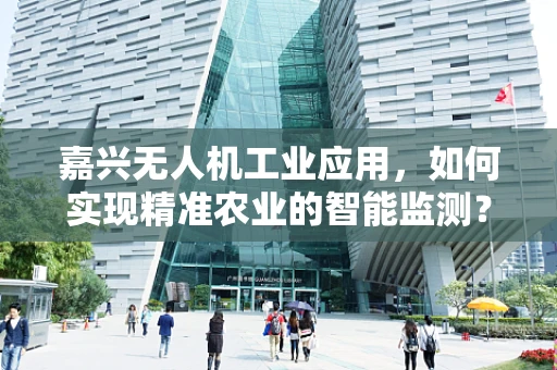嘉兴无人机工业应用，如何实现精准农业的智能监测？