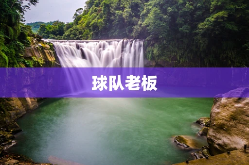 球队老板