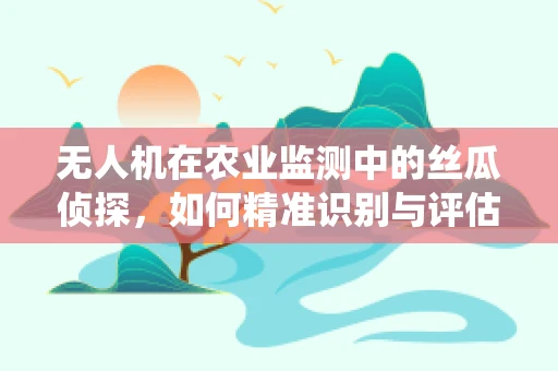 无人机在农业监测中的丝瓜侦探，如何精准识别与评估丝瓜种植区的病虫害？
