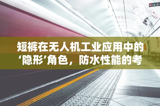 短裤在无人机工业应用中的‘隐形’角色，防水性能的考量