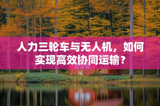 人力三轮车与无人机，如何实现高效协同运输？