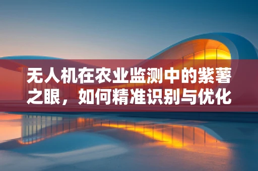无人机在农业监测中的紫薯之眼，如何精准识别与优化种植？
