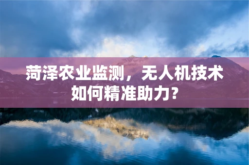 菏泽农业监测，无人机技术如何精准助力？