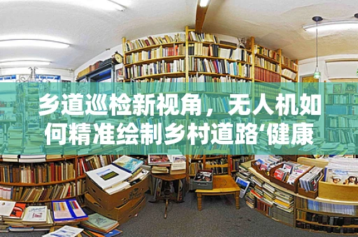 乡道巡检新视角，无人机如何精准绘制乡村道路‘健康图’？