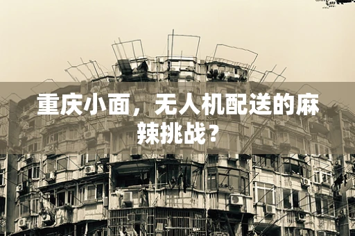 重庆小面，无人机配送的麻辣挑战？