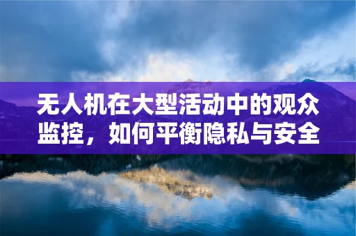 无人机在大型活动中的观众监控，如何平衡隐私与安全？