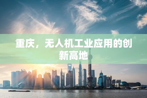 重庆，无人机工业应用的创新高地