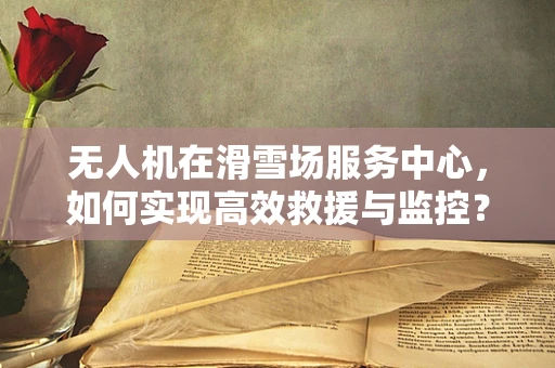 无人机在滑雪场服务中心，如何实现高效救援与监控？
