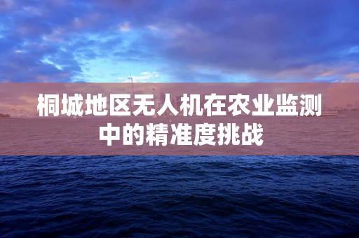 桐城地区无人机在农业监测中的精准度挑战